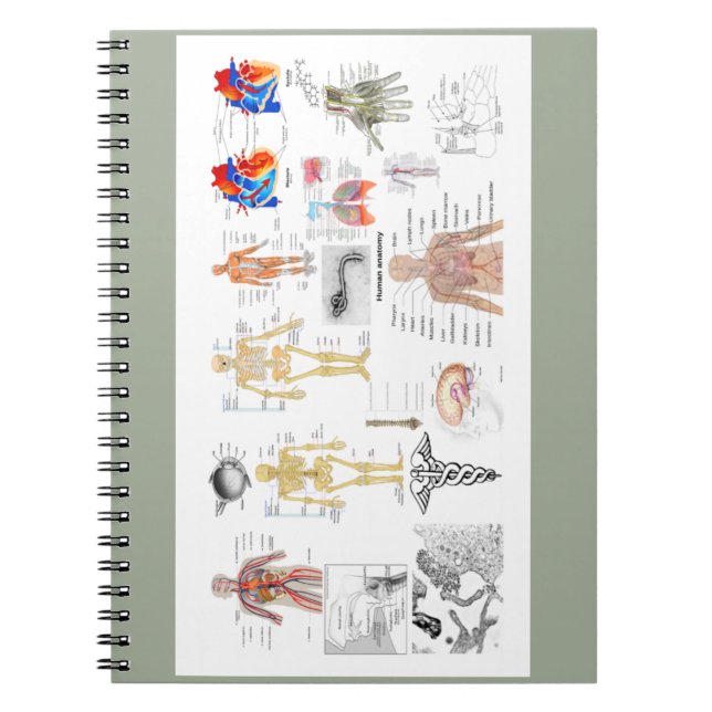 Carnet Human Anatomy Charts (Devant)