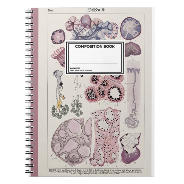 Carnet Human Tissue Histology Atlas Notebook (Devant)