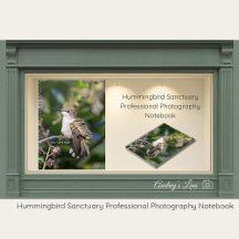 Hummingbird Sanctuary Professional Photography