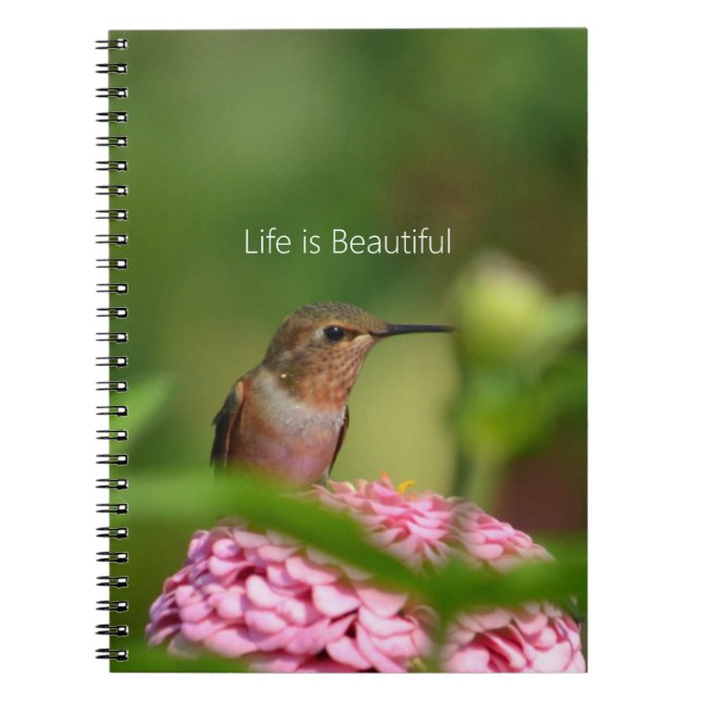 Carnet Hummingbird Zinnia Flower Garden (my photography) (Devant)