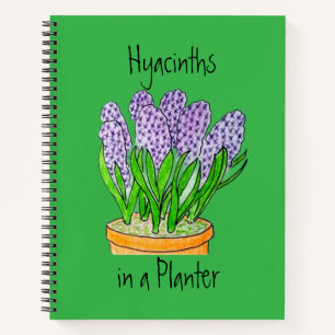Carnet Hyacinthes pourpres a dans Planter