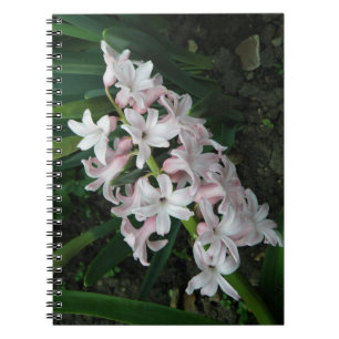 Carnet Hyacinths