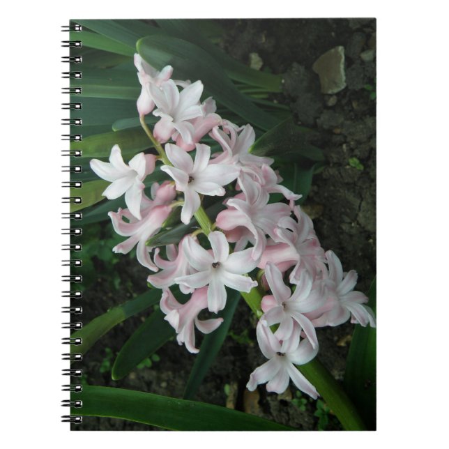 Carnet Hyacinths (Devant)