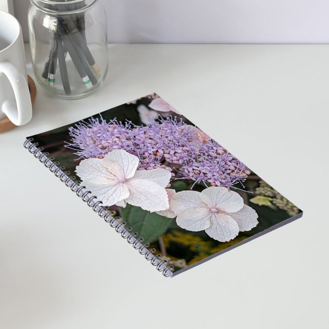 Carnet Hydrangea Aspera Blanche Fleurs Florales (In Situ)