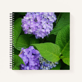 Carnet Hydrangea lavande