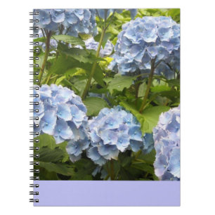 Carnet Hydrangeas Bleu Profond