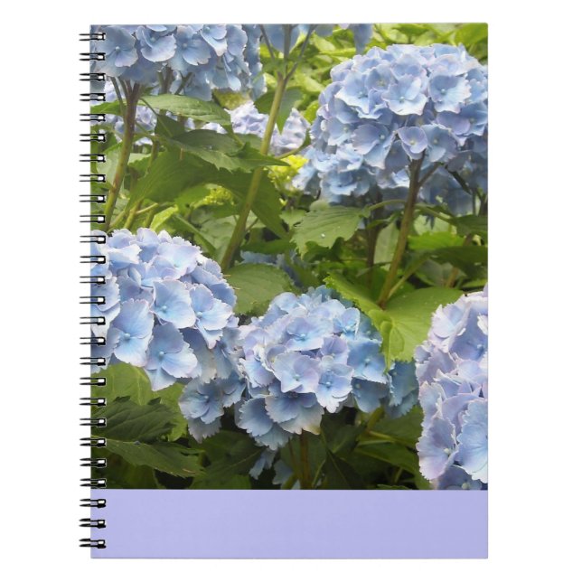 Carnet Hydrangeas Bleu Profond (Devant)