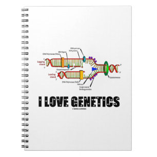 Carnet I Love Genetics (réplication de l'ADN)