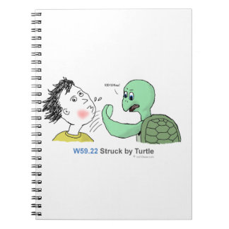 Carnet ICD-10 : W59.22 frappé par la tortue