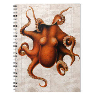 Carnet Ici il y ait des monstres