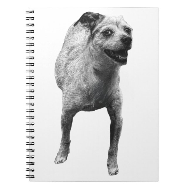 Carnet Idées Avec Un Wag (Devant)