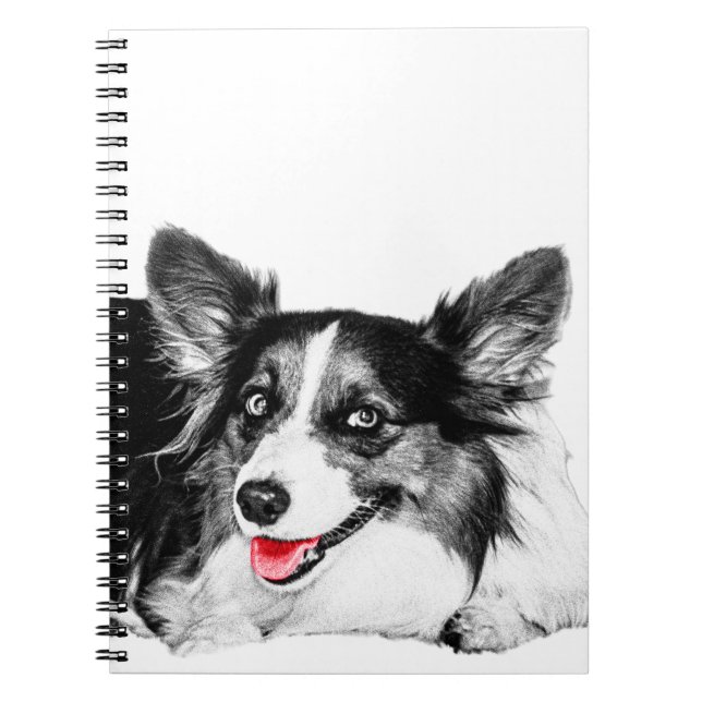 Carnet Idées lumineuses avec un Corgi pas cher (Devant)