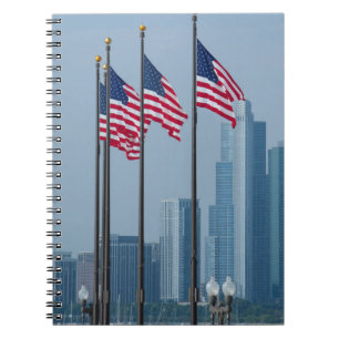 Carnet Illinois, Chicago. Navy Pier, drapeaux américains