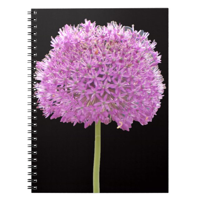 Carnet Illium Summer Spring Flower - Irish Design (Devant)
