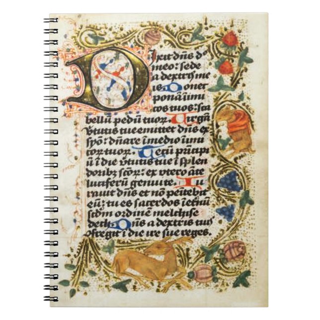 Carnet Illuminated Manuscript Notebook (Devant)