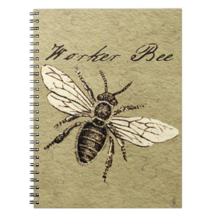 Carnet Illustration Antique d'Abeille Ouvrière Insecte Vi