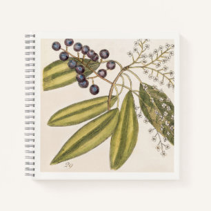 Carnet Illustration botanique bleu et blanc du 18e siècle