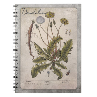 Carnet Illustration botanique du Dandelion vintage
