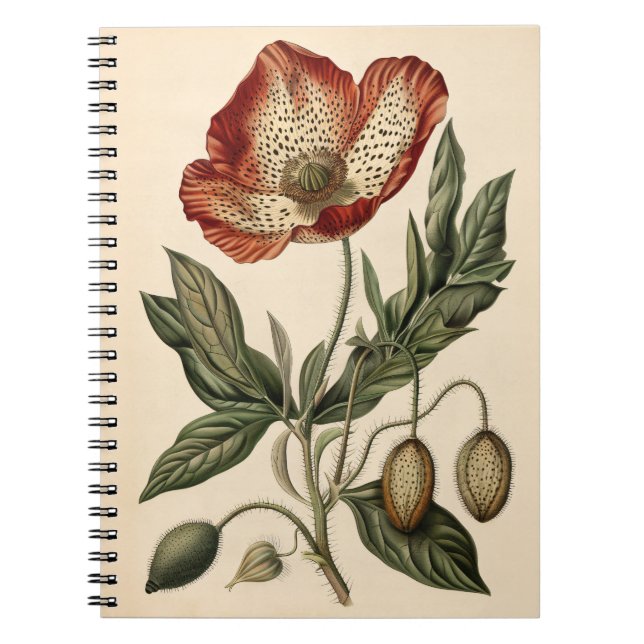 Carnet Illustration botanique du pavot vintage (Devant)