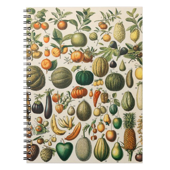 Carnet Illustration botanique scientifique de fruits et l (Devant)
