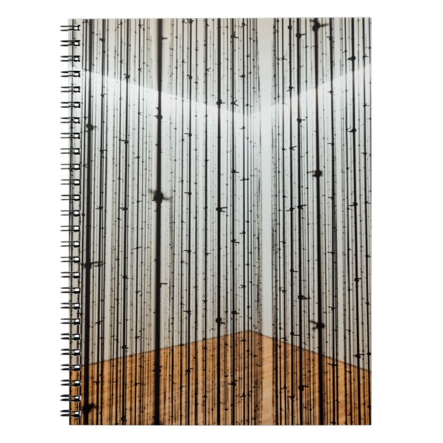 Carnet Illustration Brown et noire (Devant)