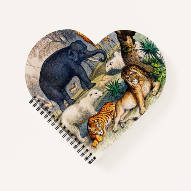 Carnet illustration d'animaux sauvages (Devant)