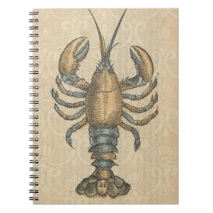 Carnet Illustration de homard antique Maine fruits de mer