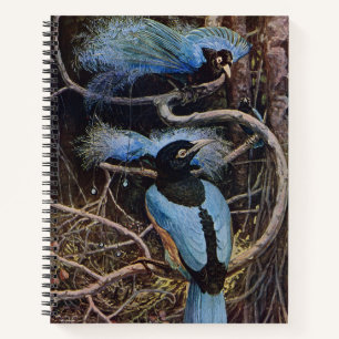 Carnet Illustration de Johnston Vintage Blue Bird Paradis