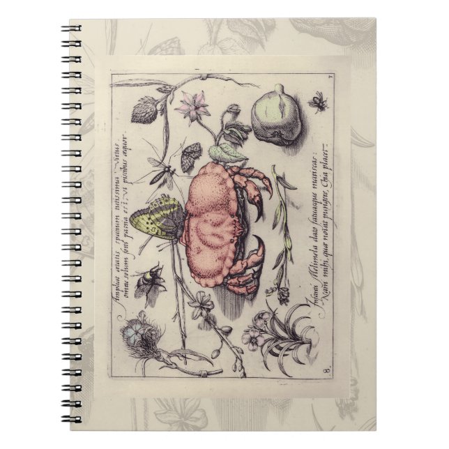Carnet Illustration de la fleur d'insectes botaniques du  (Devant)