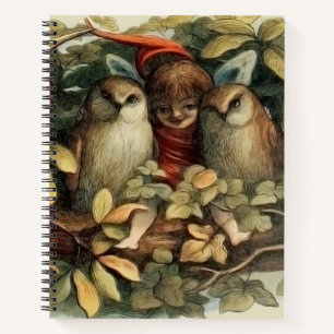 Carnet Illustration de la nature des hiboux et des fées e