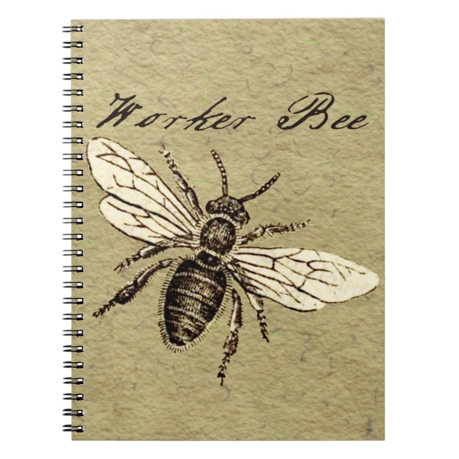 Carnet Illustration de l'insecte d'abeille vintage (Devant)