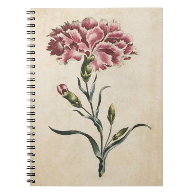 Carnet Illustration de l'oeillet végétal vintage (Devant)