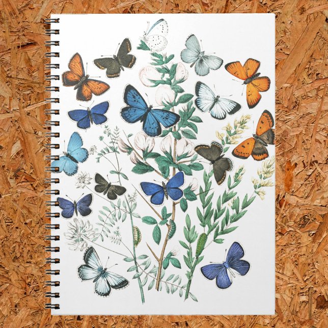 Carnet Illustration de papillons vintage sur un (Créateur téléchargé)