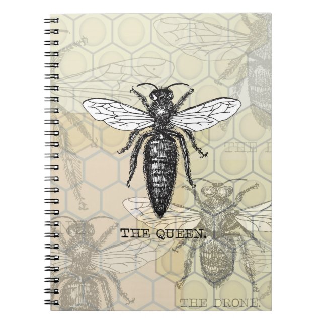 Carnet Illustration de reine abeille insecte (Devant)