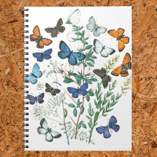 Carnet Illustration des papillons vintages sur un