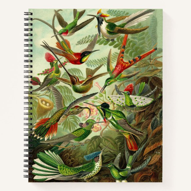Carnet Illustration du colibri d'Ernst Haeckel 8,5X11" (Devant)