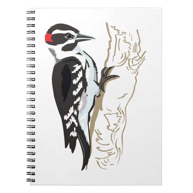 Carnet Illustration du pic (Devant)