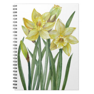 Carnet Illustration du portrait des jonquilles d'aquarell