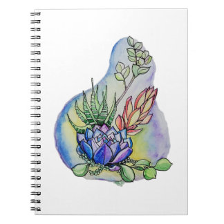 Carnet Illustration d'un bouquet de succulentes à l'aquar