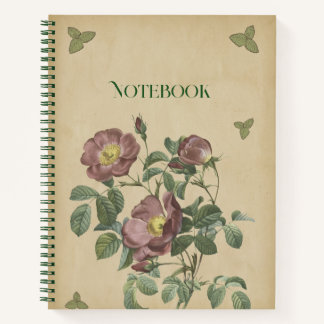 Carnet Illustration florale botanique de rose rose vintag