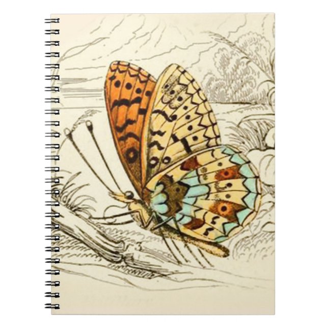 Carnet Illustration papillon vintage, orange et beige (Devant)