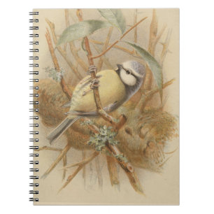 Carnet Illustration vintage de Bluetit