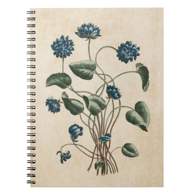 Carnet Illustration vintage des violettes florales botani (Devant)