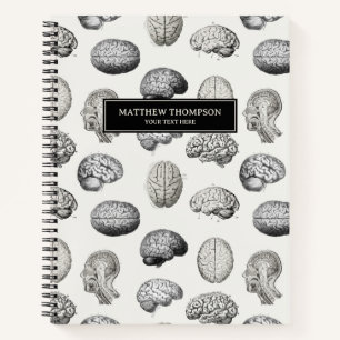 Carnet Illustrations Antiques d'Anatomie du Cerveau Biolo
