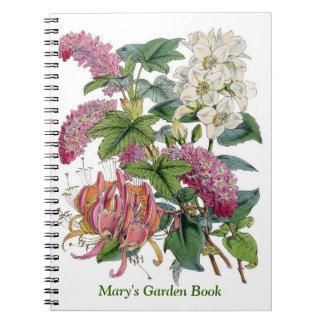 Carnet Illustrations vintages de Botanicals