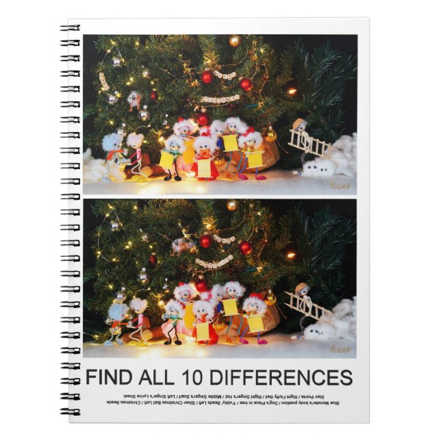 Carnet Image à rechercher de 10 différences des Kerstfubb (Devant)