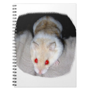 Carnet Image blanche et blonde de hamster albinos