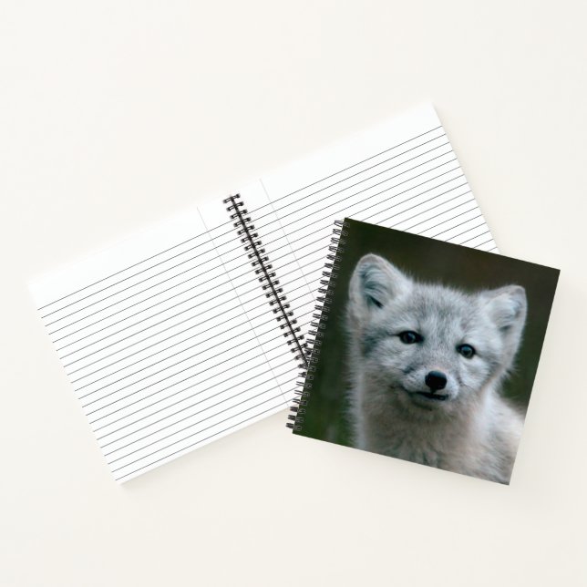 Carnet Images Getty | Arctic Fox Kit (Intérieur)