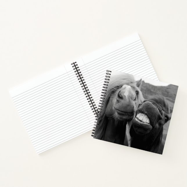 Carnet Images Getty | Chevaux souriants (Intérieur)