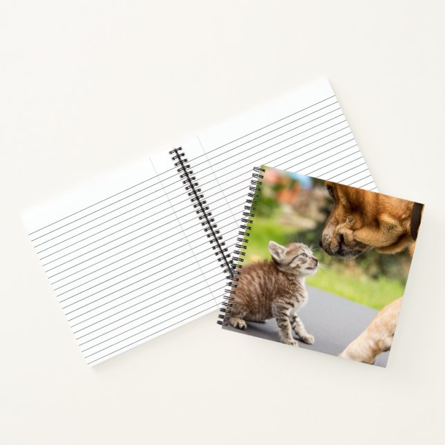 Carnet Images Getty | Chien et chat en amour (Intérieur)